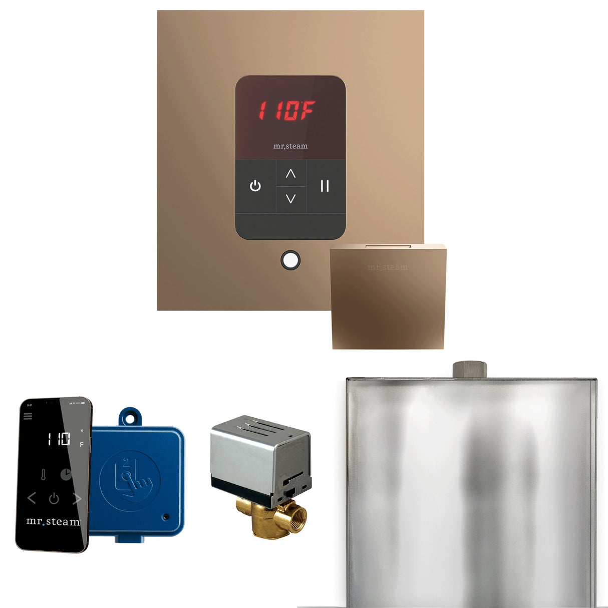 Mr.Steam Basic Butler Aroma Designer Steam Shower Control Package