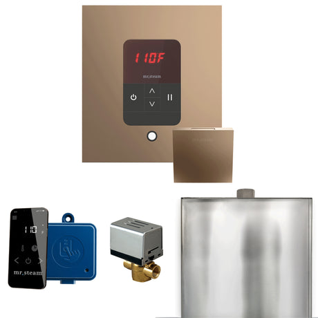 Mr.Steam Basic Butler Aroma Designer Steam Shower Control Package