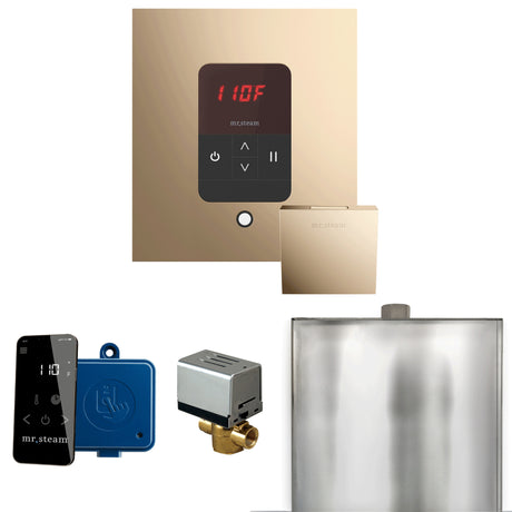 Mr.Steam Basic Butler Aroma Designer Steam Shower Control Package