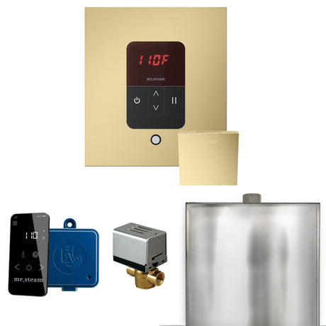 Mr.Steam Basic Butler Aroma Designer Steam Shower Control Package
