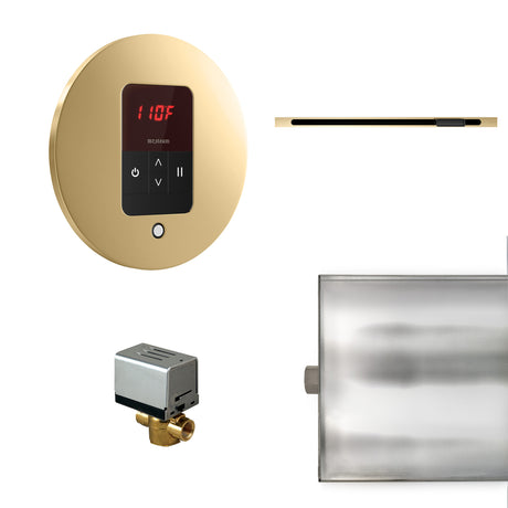 Mr.Steam Basic Butler Linear Steam Shower Control Package
