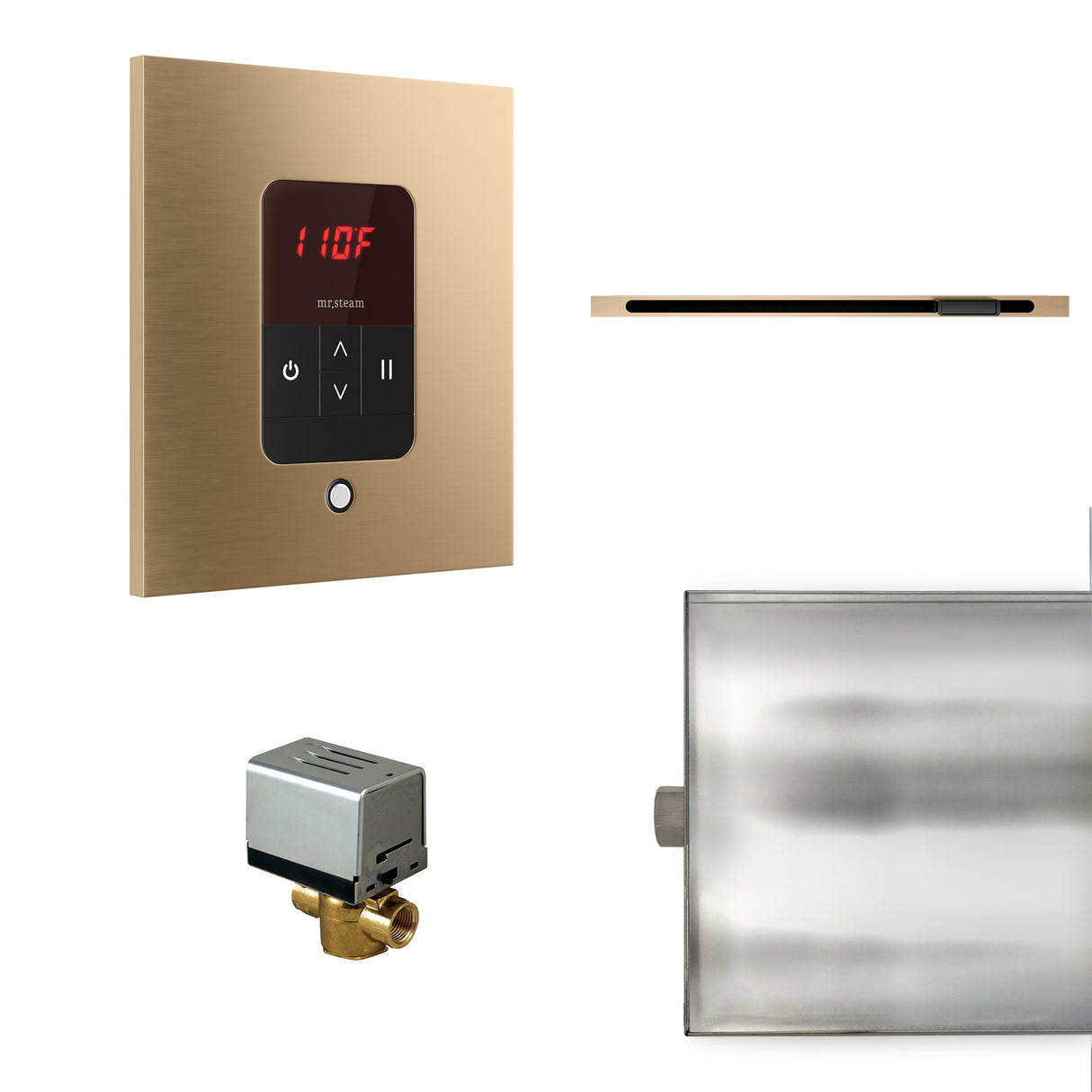 Mr.Steam Basic Butler Linear Steam Shower Control Package