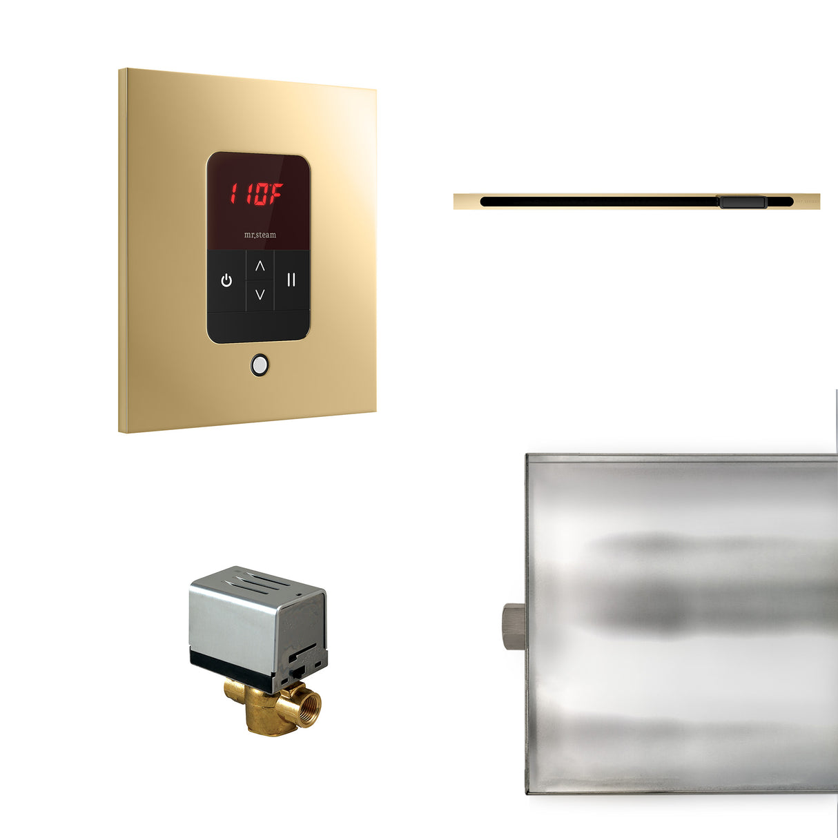 Mr.Steam Basic Butler Linear Steam Shower Control Package