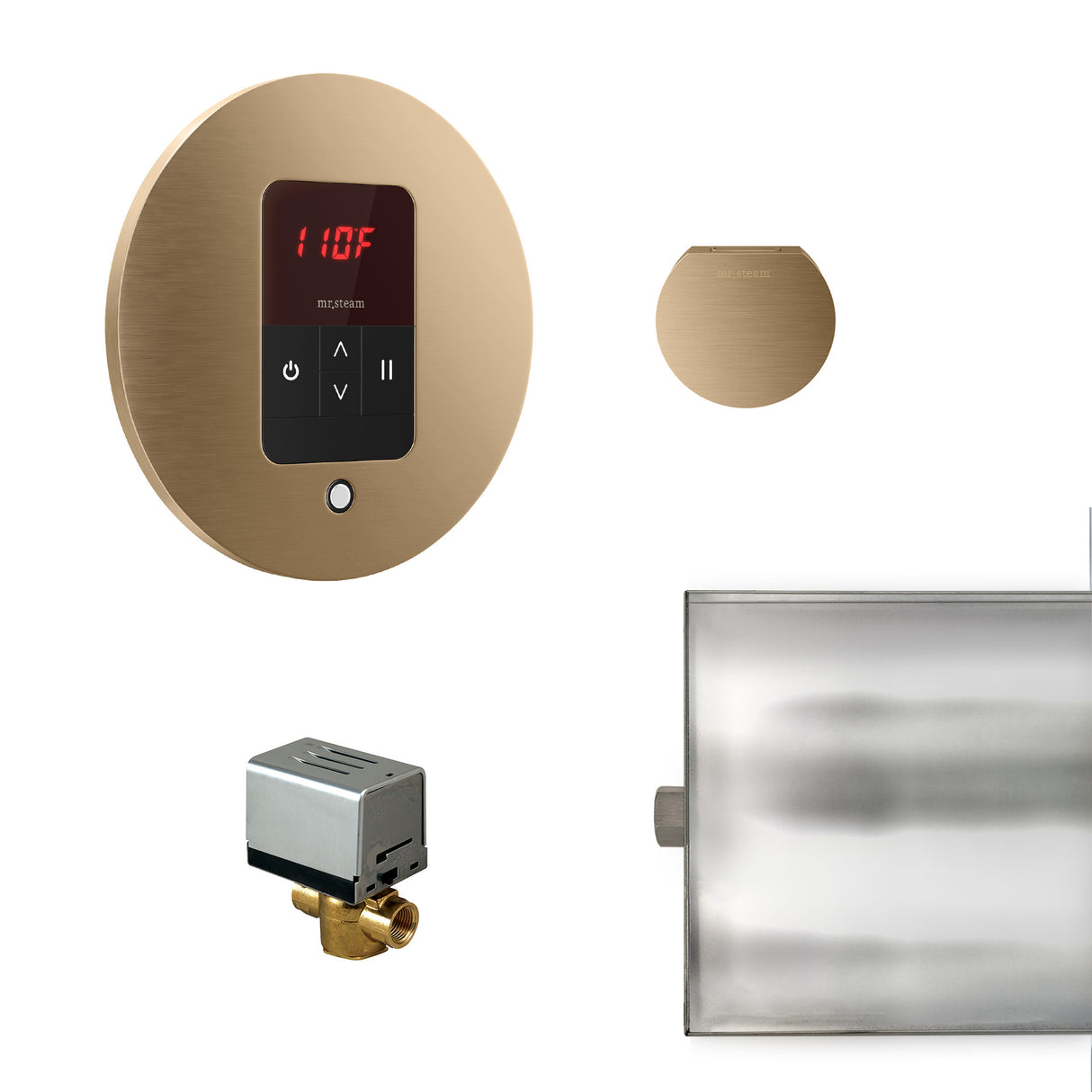 Mr.Steam Basic Butler Aroma Designer Steam Shower Control Package