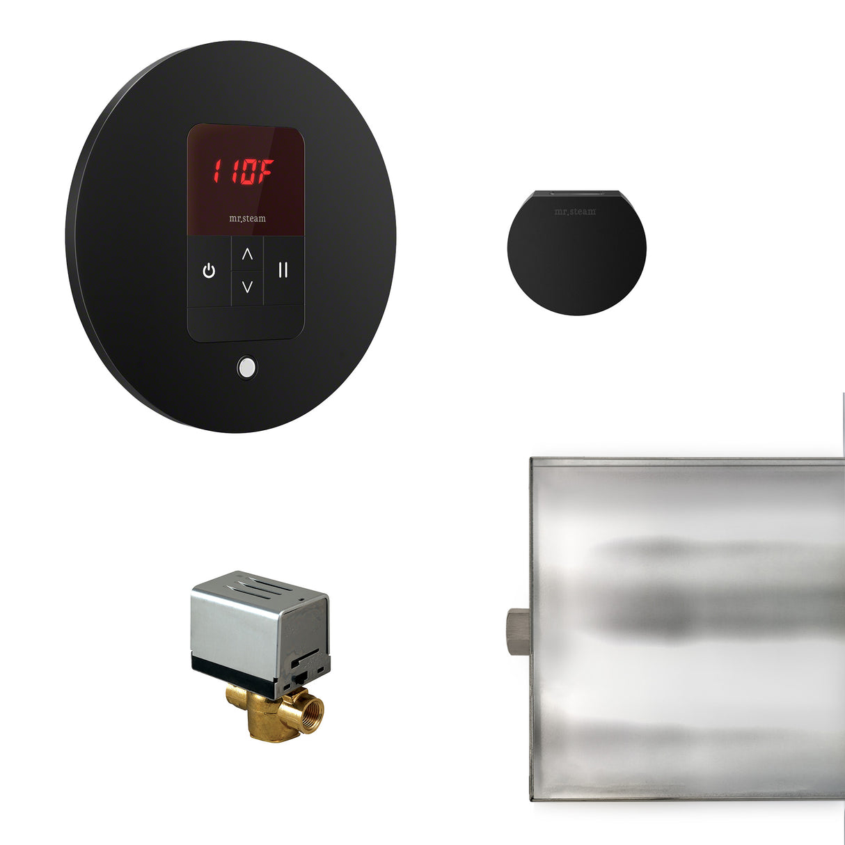 Mr.Steam Basic Butler Aroma Designer Steam Shower Control Package
