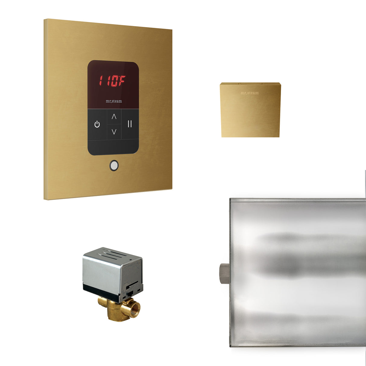 Mr.Steam Basic Butler Aroma Designer Steam Shower Control Package