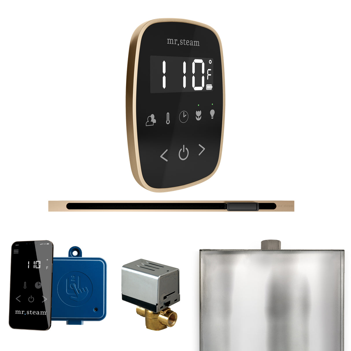 Mr.Steam ButlerFlex Linear Steam Shower Control Package