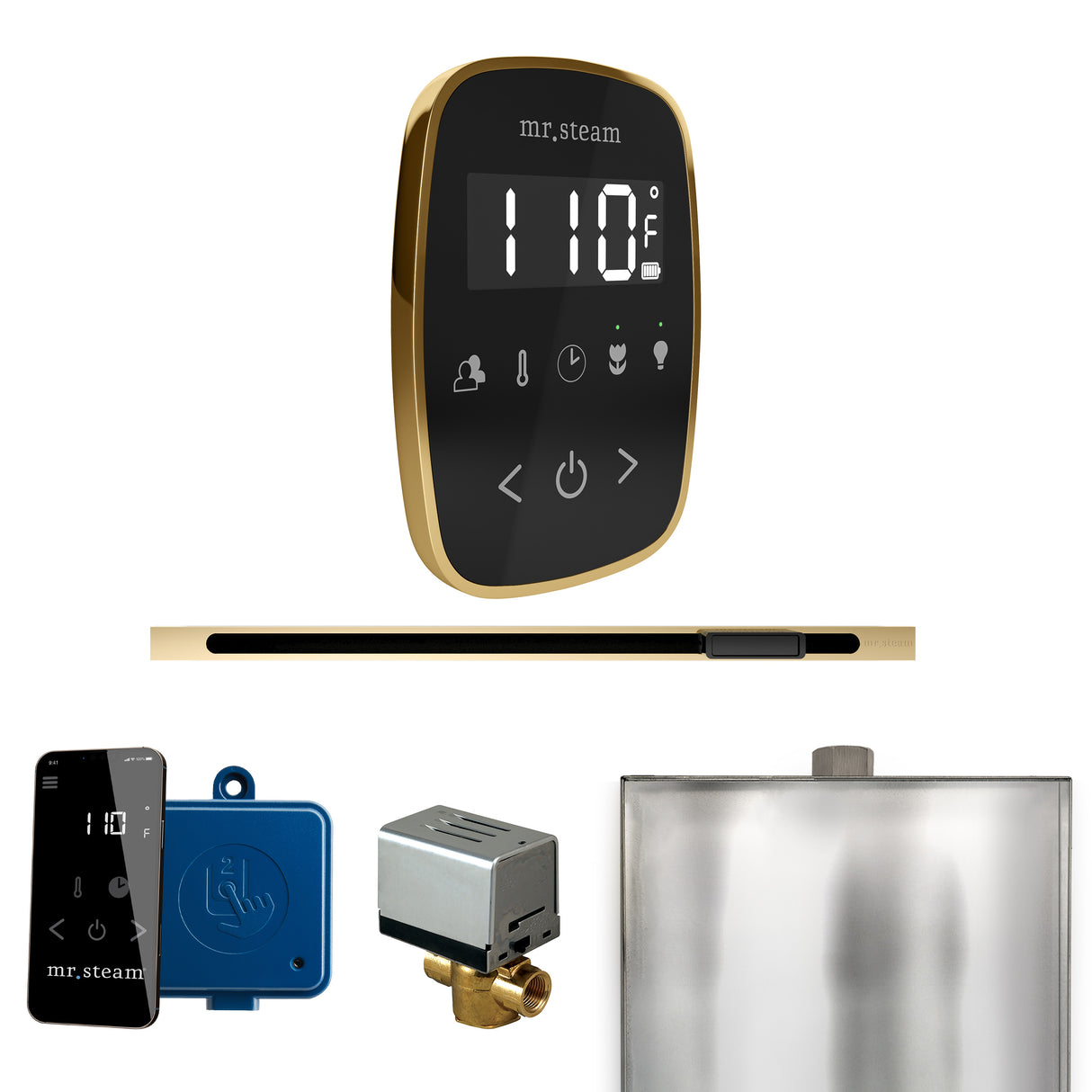 Mr.Steam ButlerFlex Linear Steam Shower Control Package