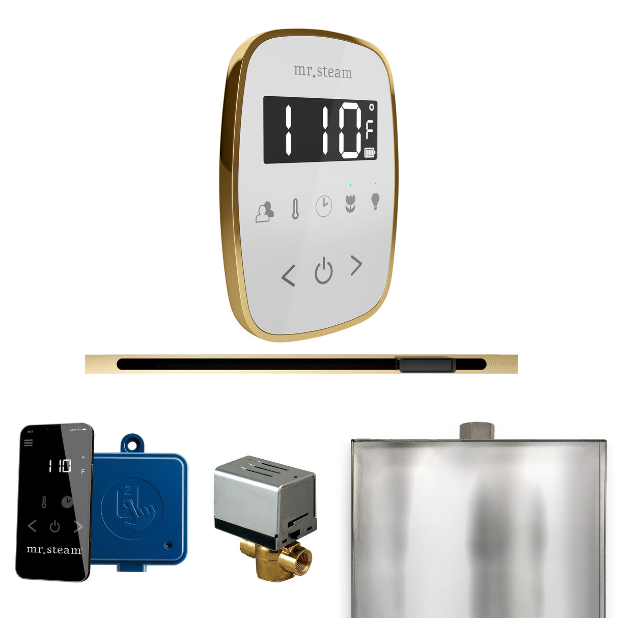 Mr.Steam ButlerFlex Linear Steam Shower Control Package
