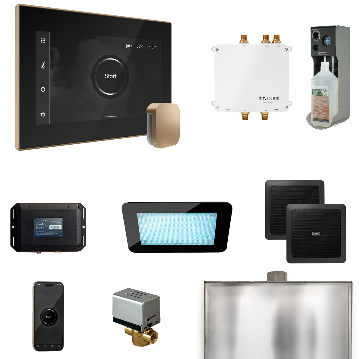 Mr.Steam Bliss Steam Shower Control Package