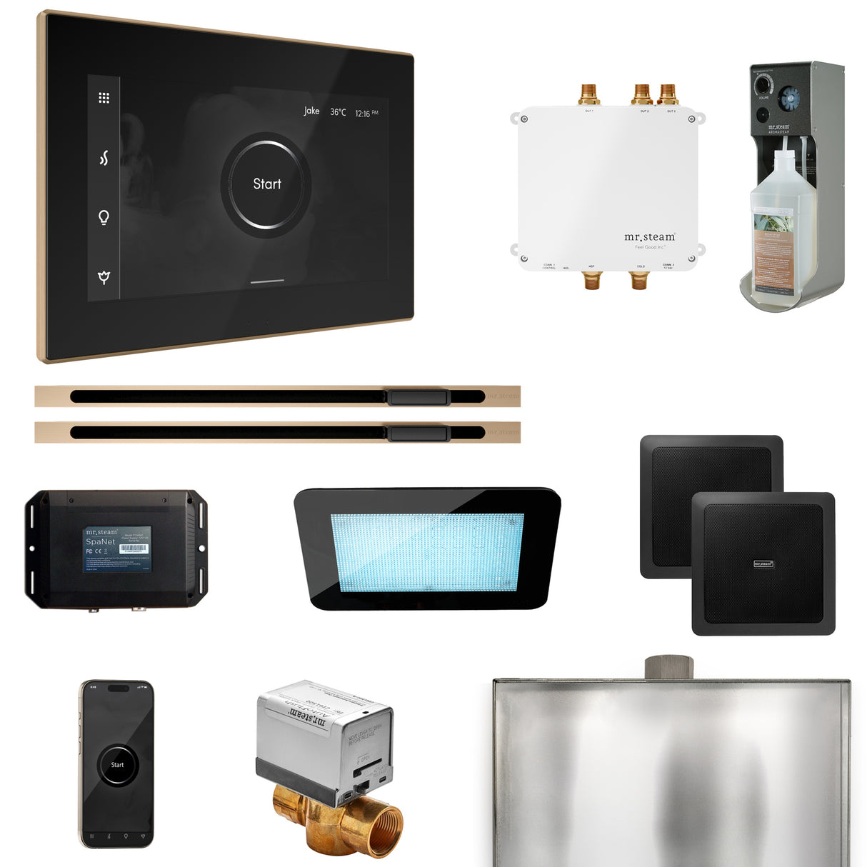 Mr.Steam Bliss Max Linear Steam Shower Control Package