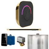 Mr.Steam ButlerTouch Linear Steam Shower Control Package