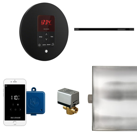 Mr.Steam Butler Linear Steam Shower Control Package
