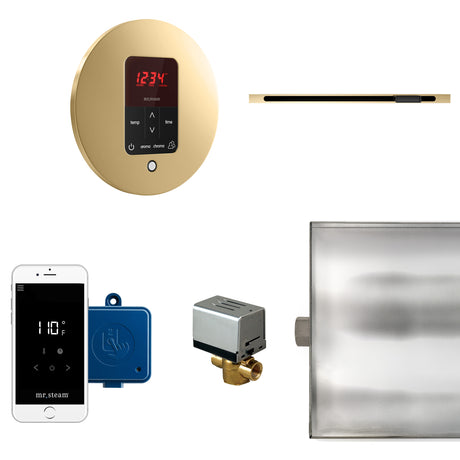 Mr.Steam Butler Linear Steam Shower Control Package