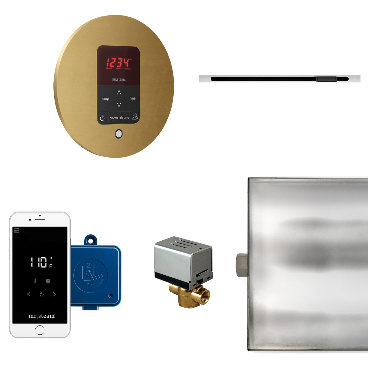 Mr.Steam Butler Linear Steam Shower Control Package