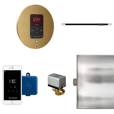 Mr.Steam Butler Linear Steam Shower Control Package