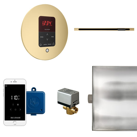 Mr.Steam Butler Linear Steam Shower Control Package