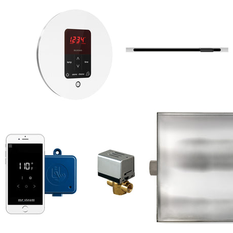 Mr.Steam Butler Linear Steam Shower Control Package