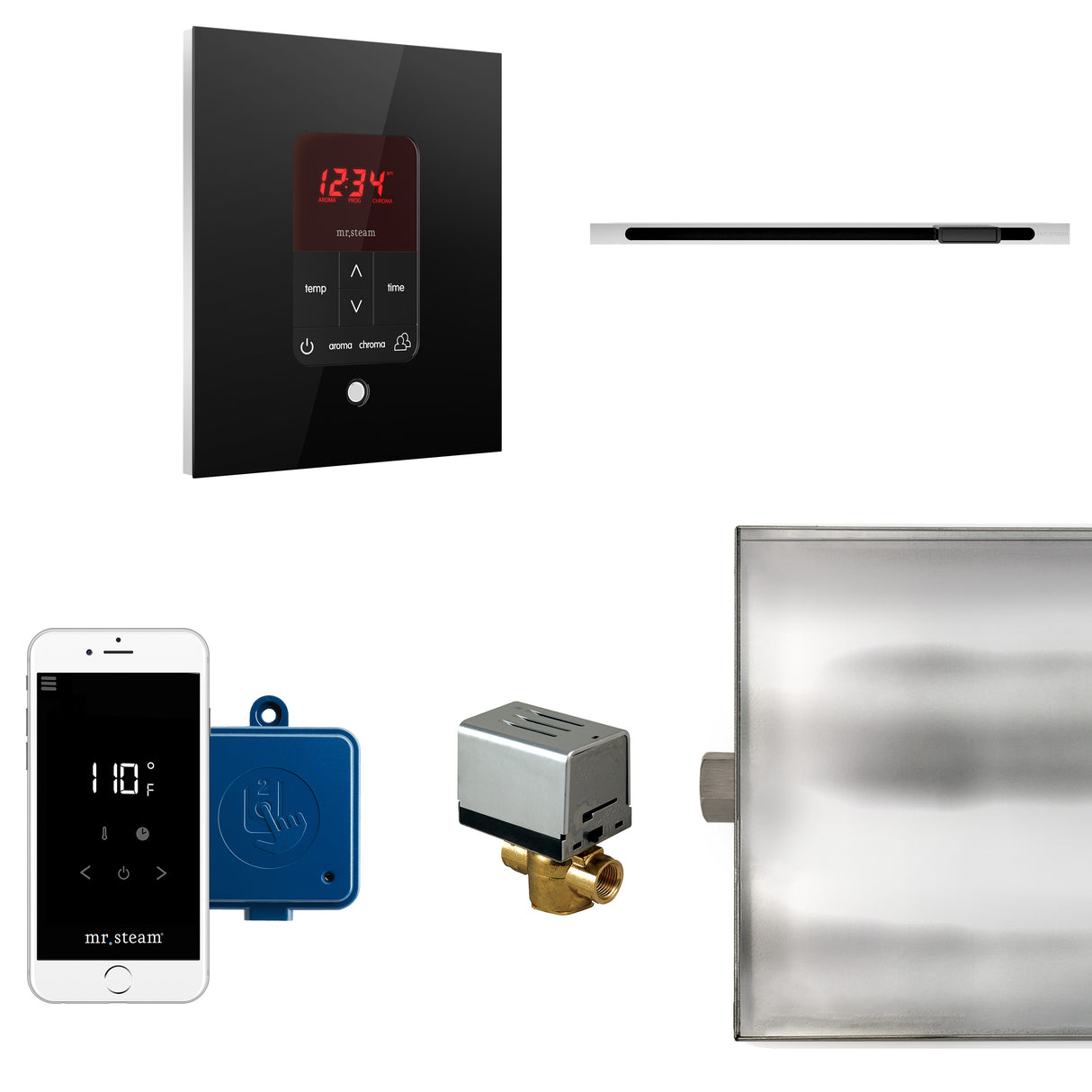 Mr.Steam Butler Linear Steam Shower Control Package