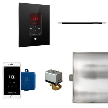 Mr.Steam Butler Linear Steam Shower Control Package