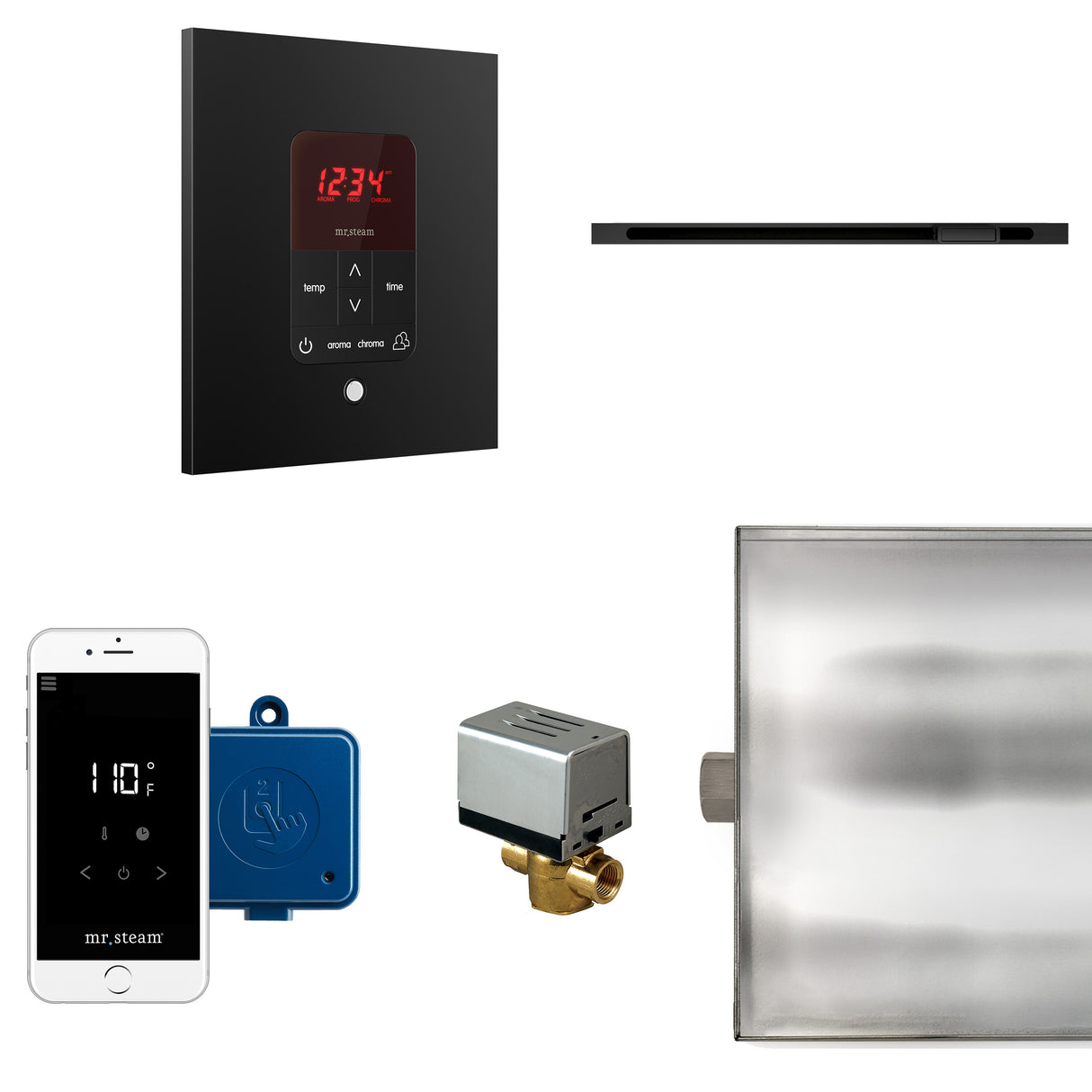 Mr.Steam Butler Linear Steam Shower Control Package