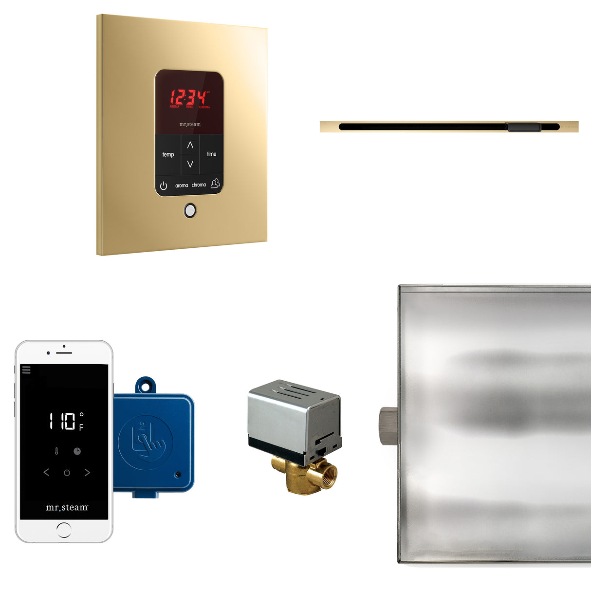 Mr.Steam Butler Linear Steam Shower Control Package