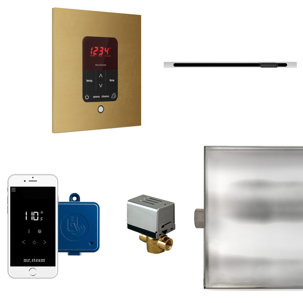 Mr.Steam Butler Linear Steam Shower Control Package