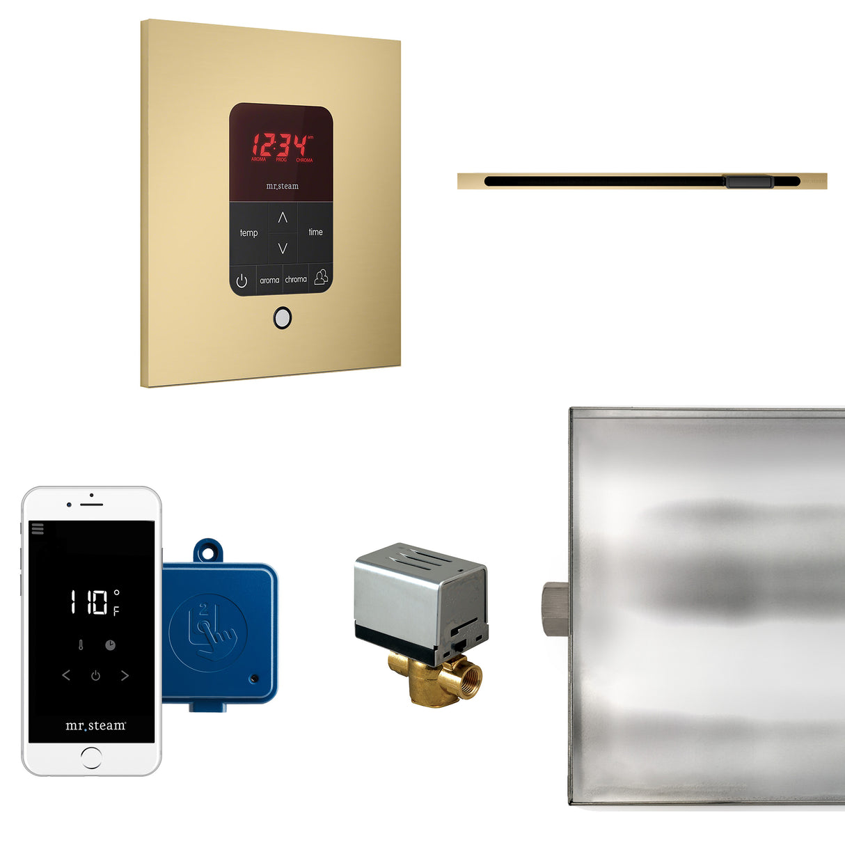 Mr.Steam Butler Linear Steam Shower Control Package