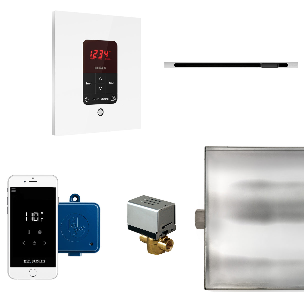 Mr.Steam Butler Linear Steam Shower Control Package