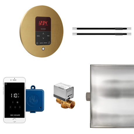 Mr.Steam Butler Max Linear Steam Shower Control Package