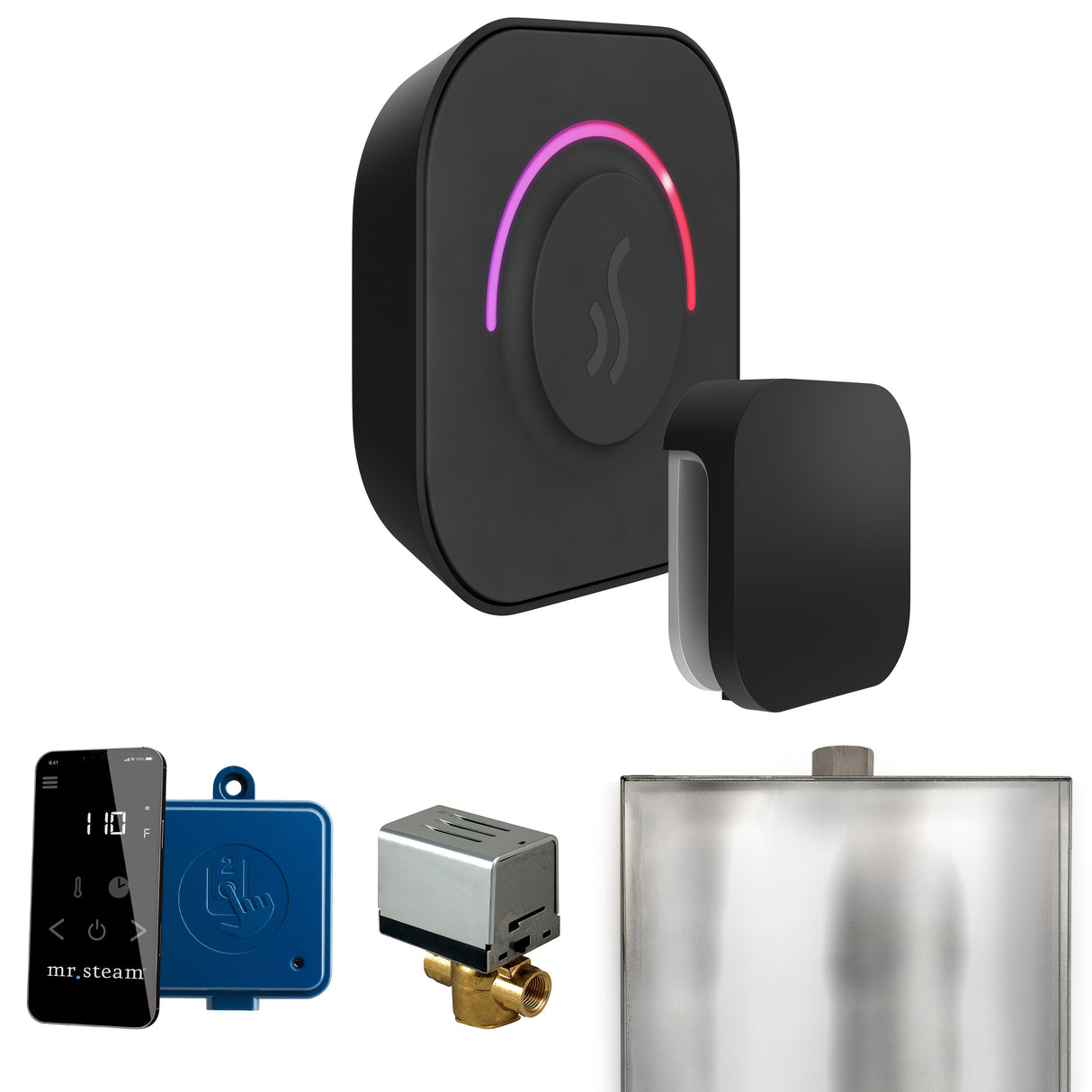 Mr.Steam ButlerTouch Steam Shower Control Package
