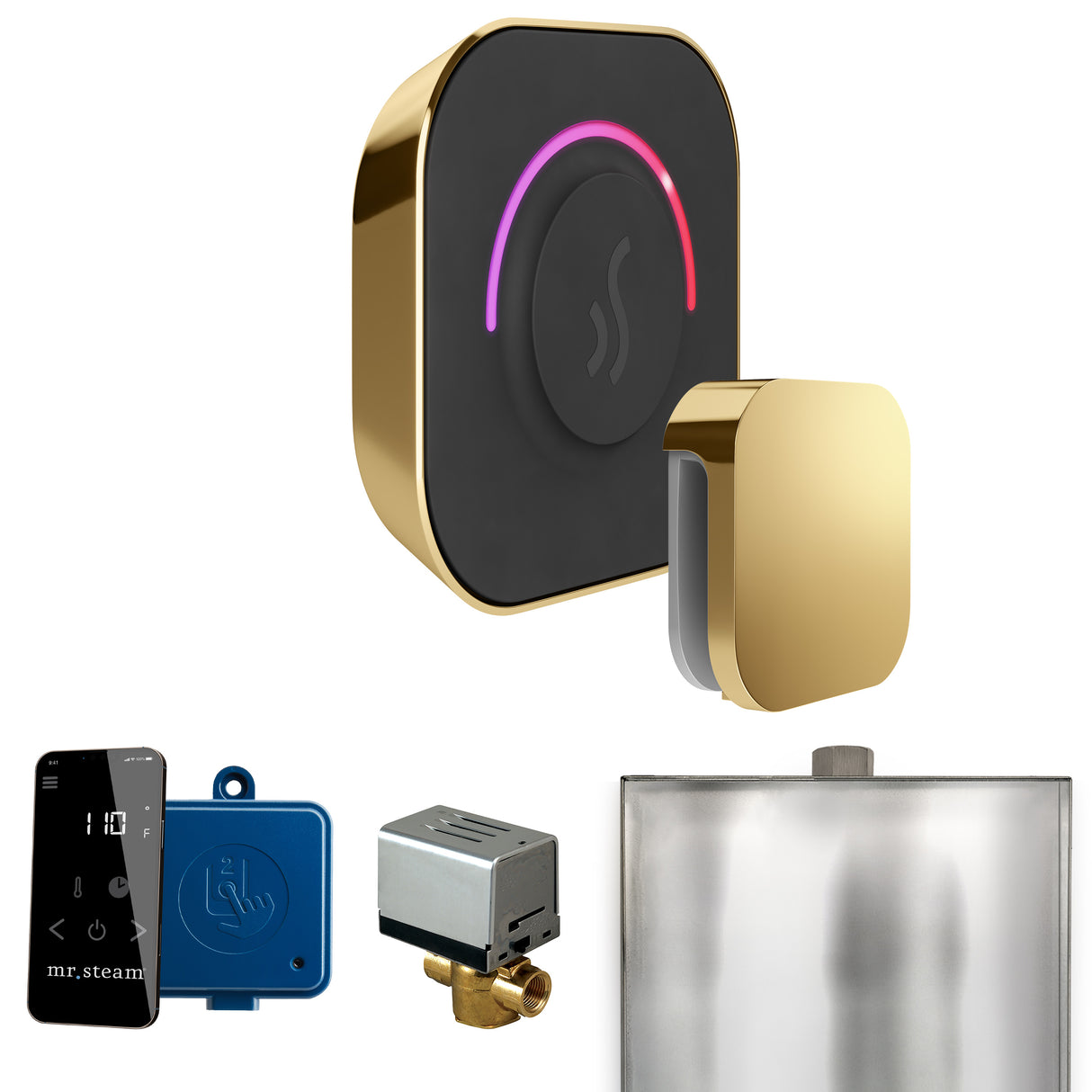 Mr.Steam ButlerTouch Steam Shower Control Package