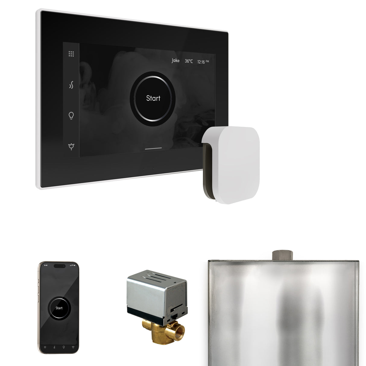 Mr.Steam XButler Steam Shower Control Package