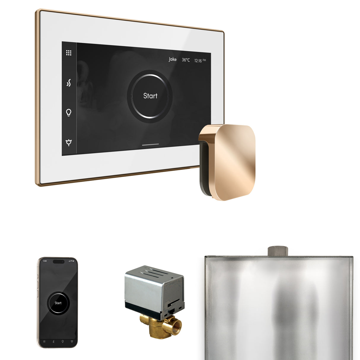 Mr.Steam XButler Steam Shower Control Package