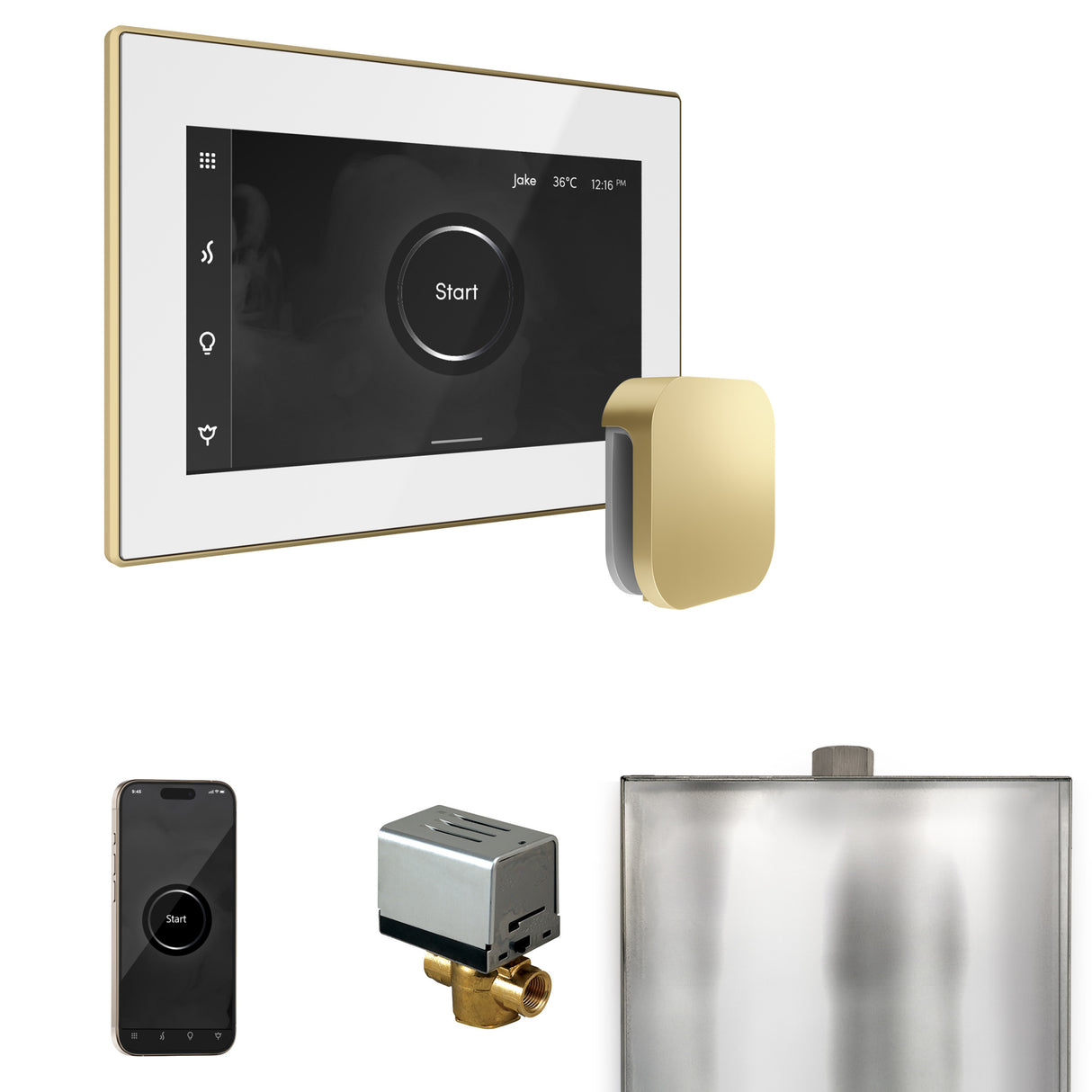 Mr.Steam XButler Steam Shower Control Package