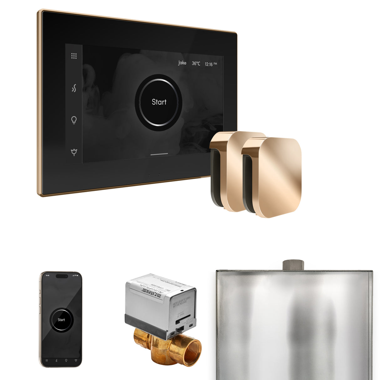 Mr.Steam Xbutler Max Steam Shower Control Package