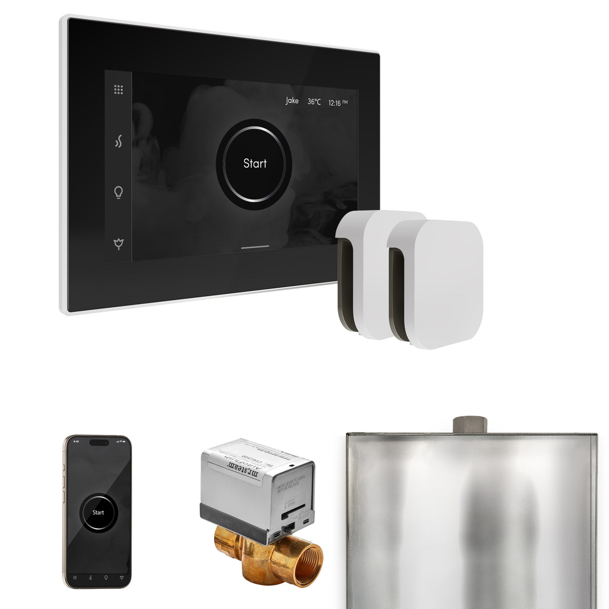 Mr.Steam Xbutler Max Steam Shower Control Package