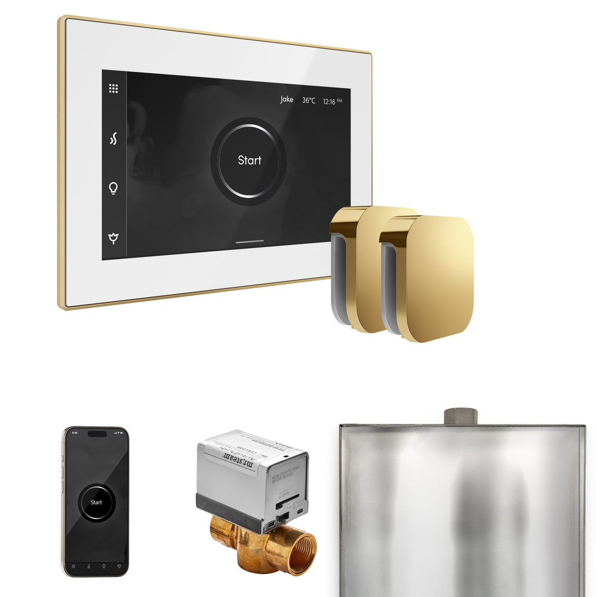 Mr.Steam Xbutler Max Steam Shower Control Package