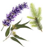 AromaMist Essential Oils 3-Pack, 4oz Bottles