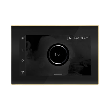 Mr.Steam iSteamX Steam Shower Control