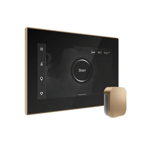 Mr.Steam Bliss Max Steam Shower Control Package