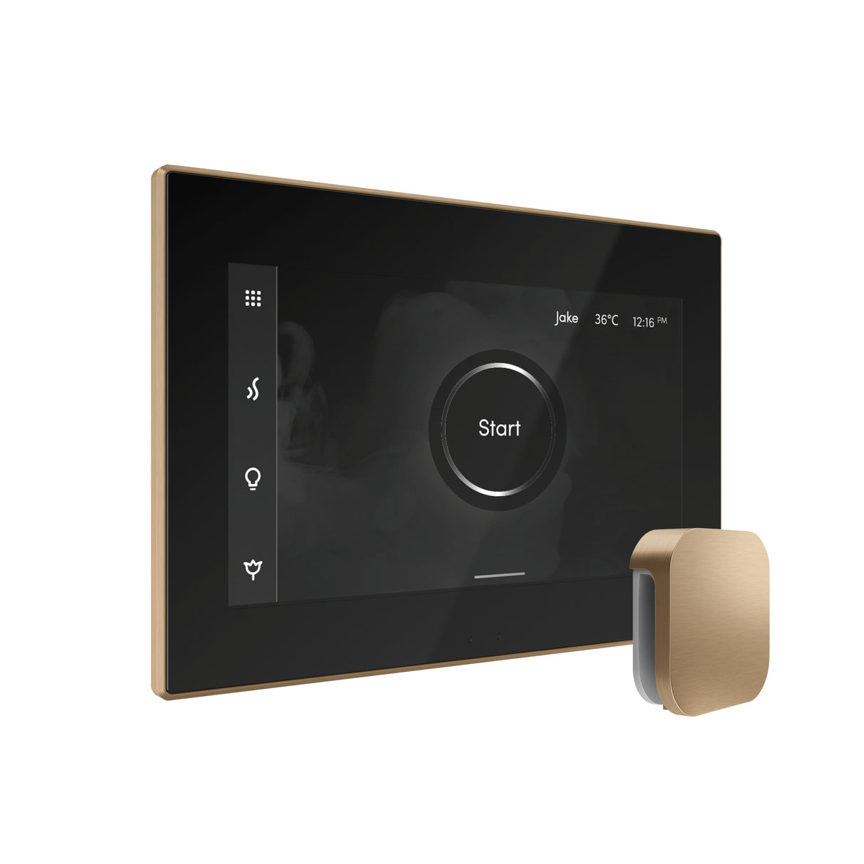 Mr.Steam xDream Max Steam Shower Control Package