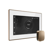 Mr.Steam iSteamX Steam Shower Control Package