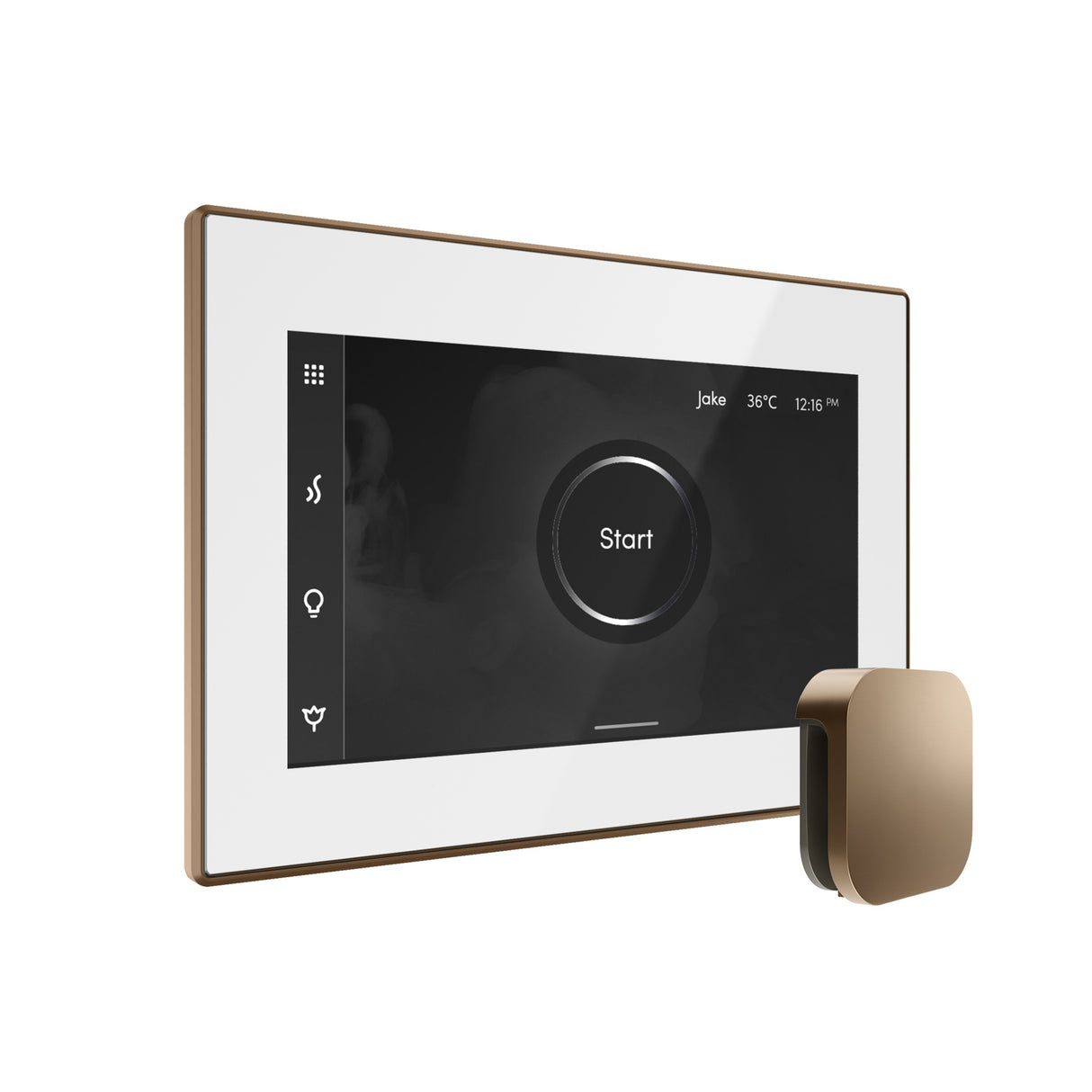 Mr.Steam xDream Max Steam Shower Control Package