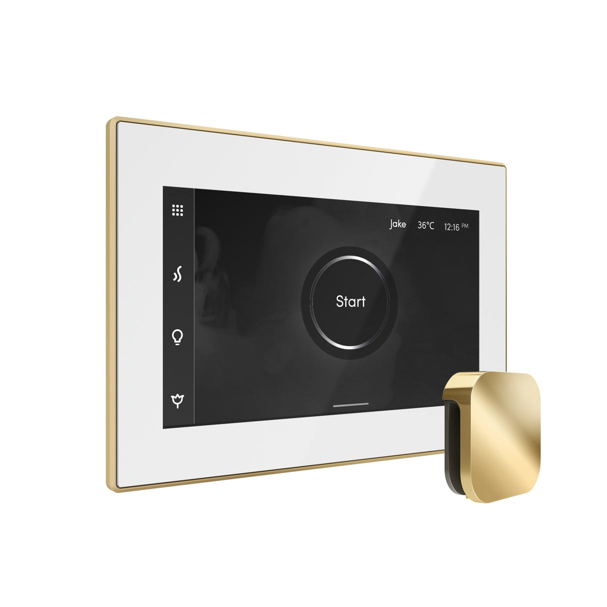 Mr.Steam xDream Max Steam Shower Control Package