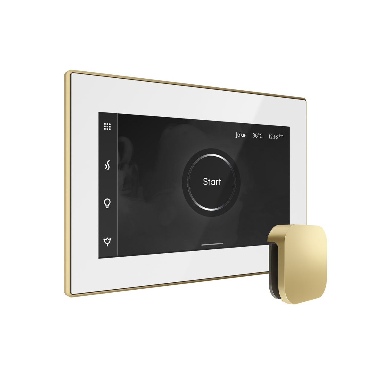 Mr.Steam xDream Max Steam Shower Control Package