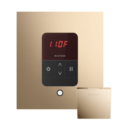 Mr.Steam iTempo Steam Shower Control Package