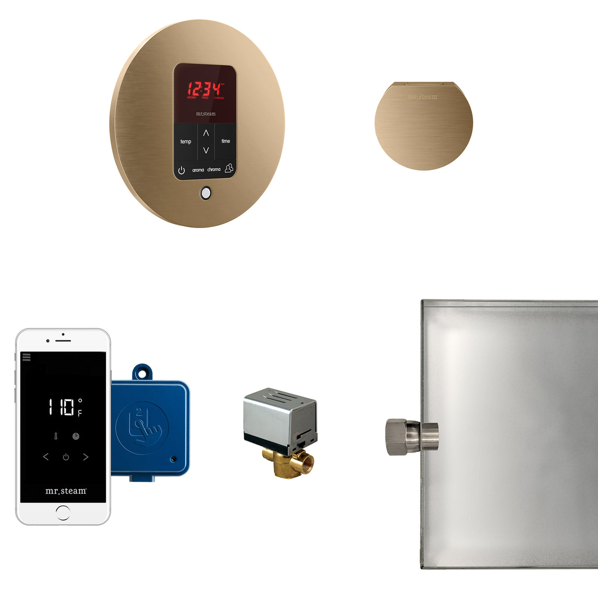 Mr.Steam Butler Aroma Designer Steam Shower Control Package