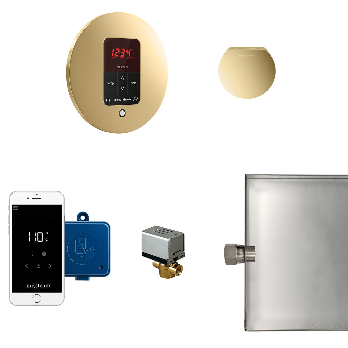 Mr.Steam Butler Aroma Designer Steam Shower Control Package