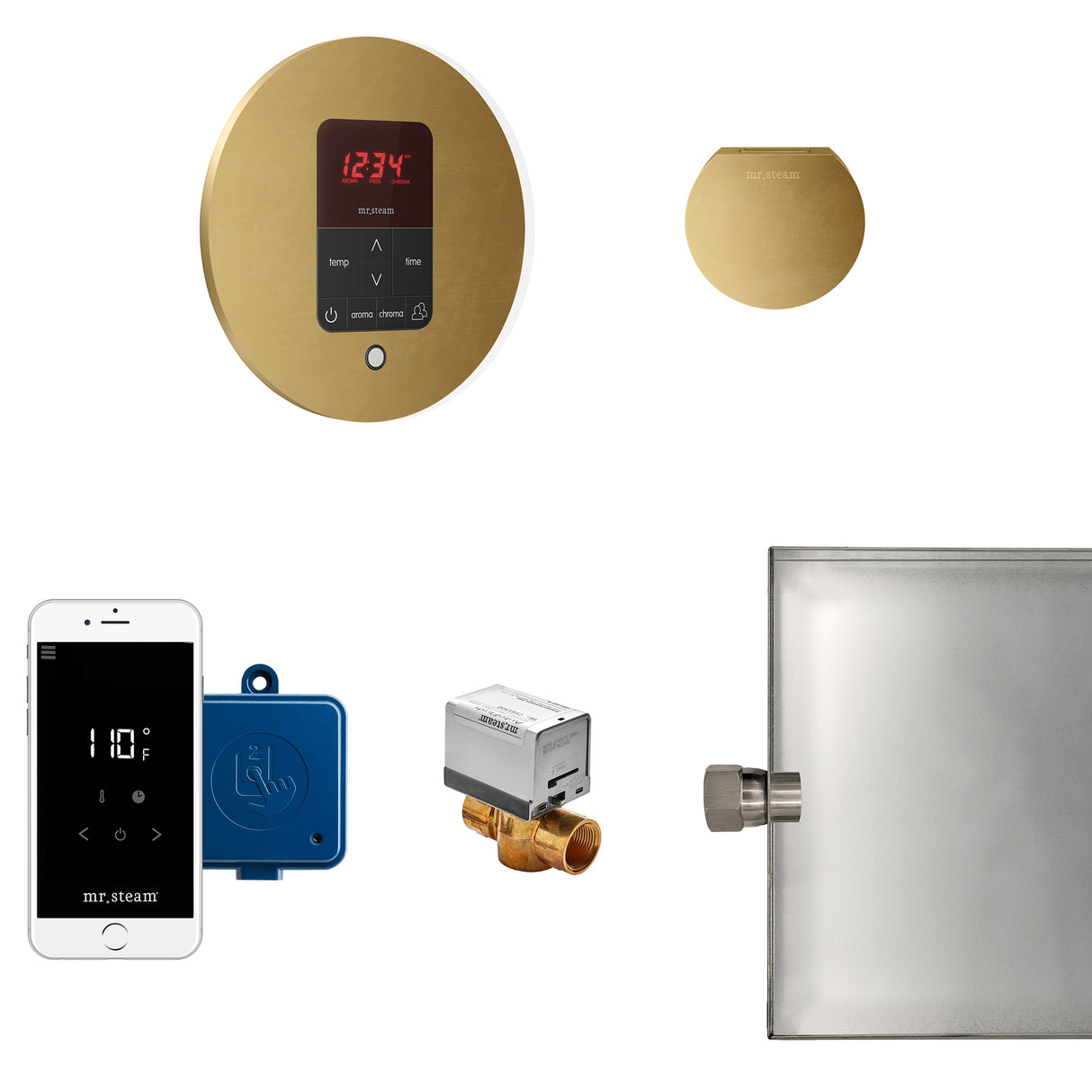 Mr.Steam Butler Aroma Designer Steam Shower Control Package